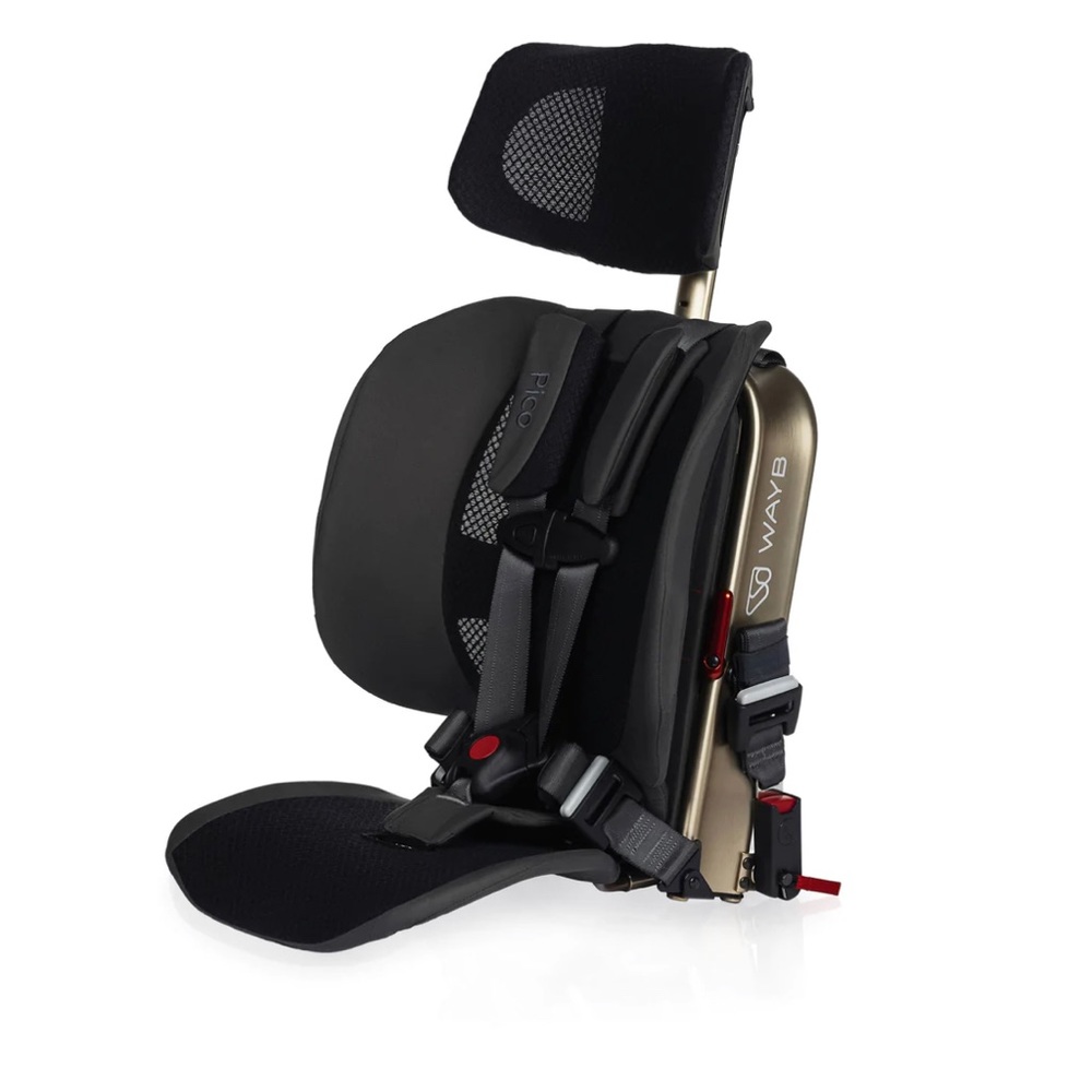 Wayne Pico car seat.
